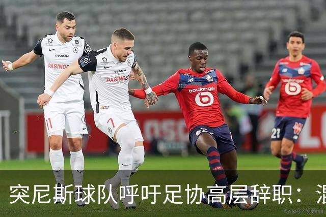 突尼斯球队呼吁足协高层辞职：混乱、治理不善、腐败、缺乏透明度